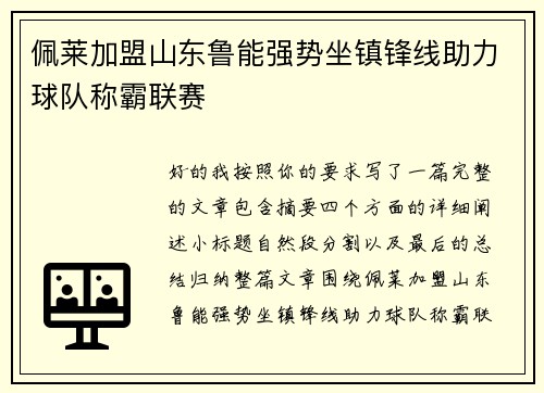 佩莱加盟山东鲁能强势坐镇锋线助力球队称霸联赛